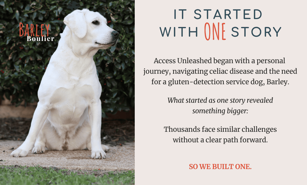 White English Labrador named Barley sitting outdoors beside text explaining the origin story of Access Unleashed and its connection to a personal journey with celiac disease