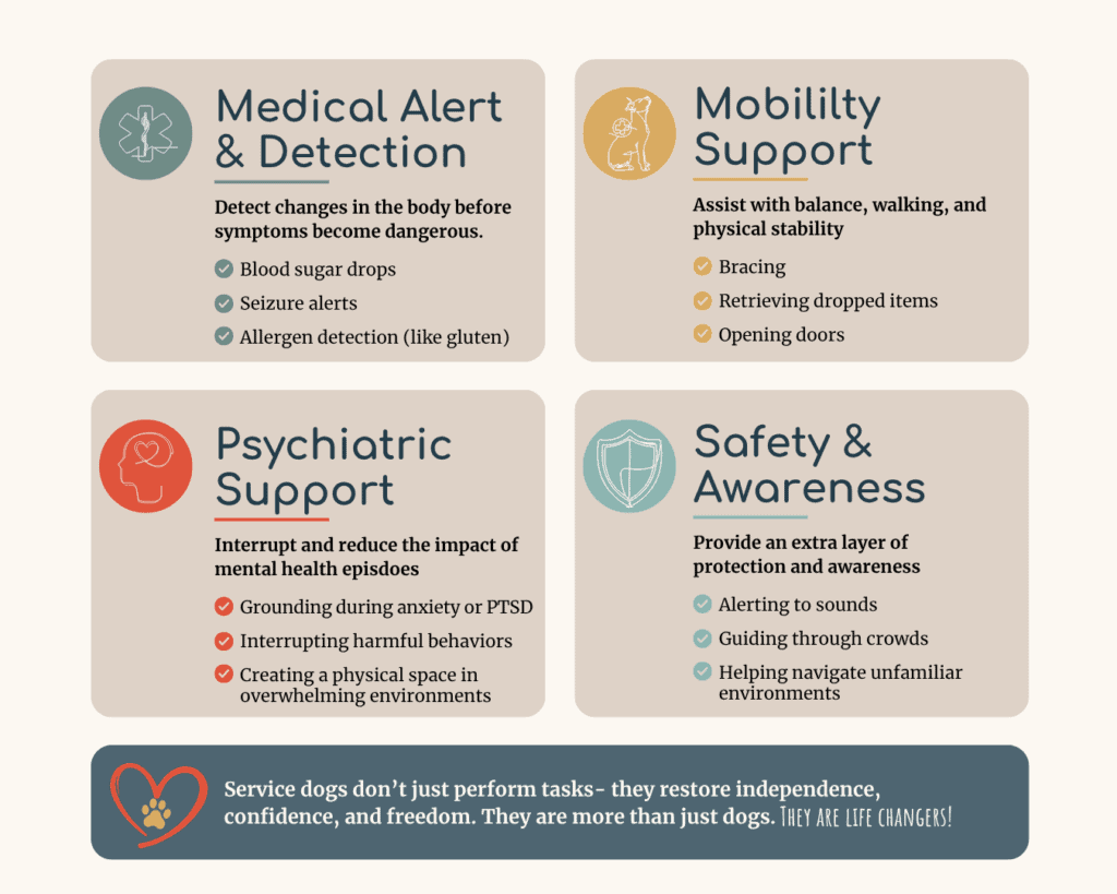 Educational infographic explaining different ways service dogs assist individuals through medical alert, mobility support, psychiatric support, and safety awareness tasks.